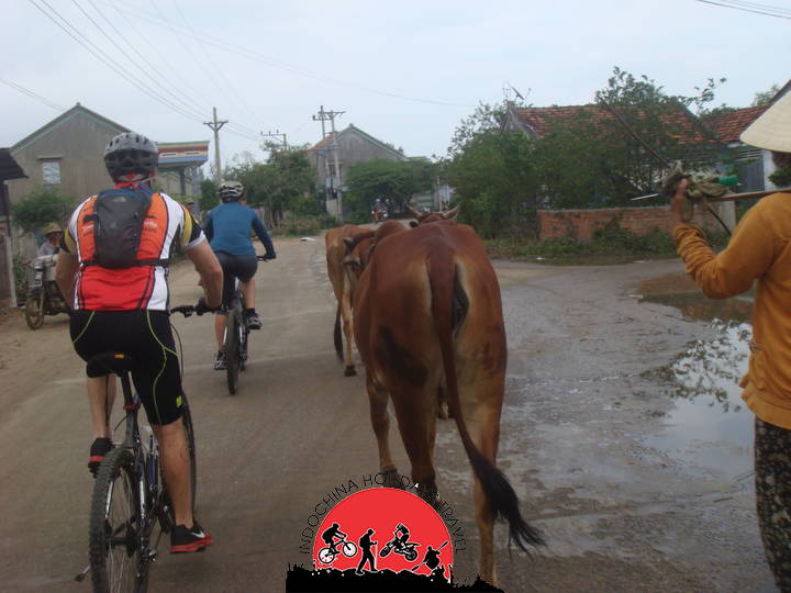 Hanoi - VanLong Nature Reserve - Cuc Phuong - Tam Coc Bike Tours - 2 Days