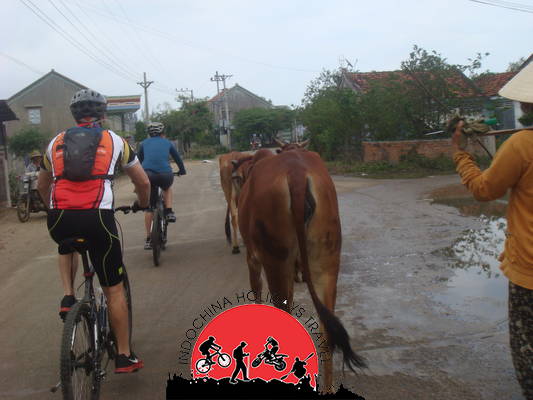 Nha Trang Cycle To Hanoi Along The Coast and Ho Chi Minh Trails - 12 Days