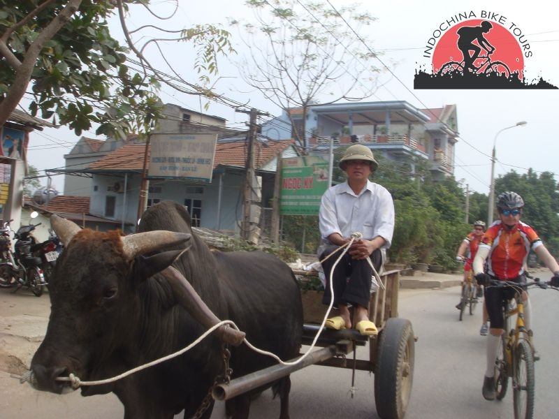 Saigon Biking Tour to Nam Cat Tien National Park – 2 days