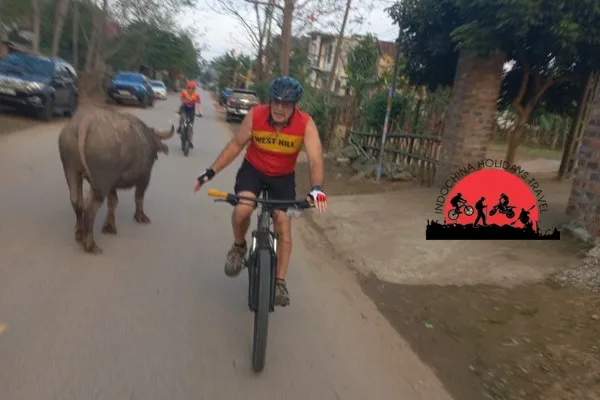 Biking To Cuc Phuong National Park and Ninh Binh - 3 Days 1