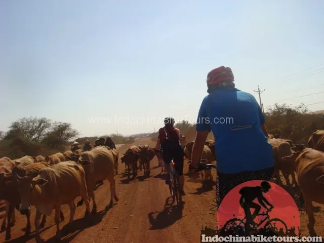 Cycling From Chau Doc Boder To Ho Chi Minh City - 5 Days 1