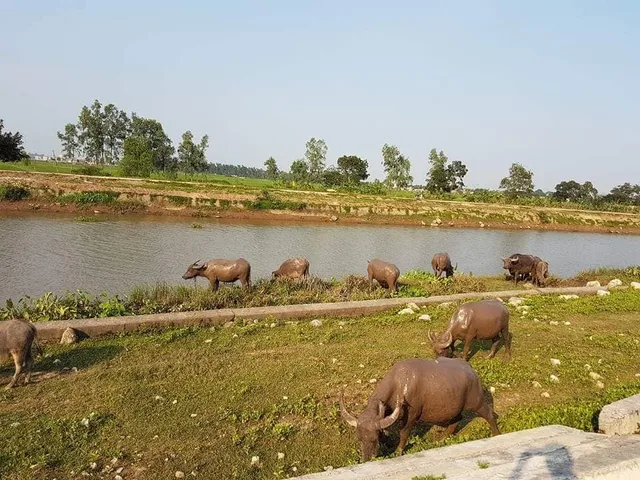 Cycling From Chau Doc Boder To Ho Chi Minh City - 5 Days 3