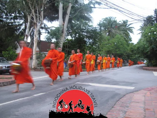 Cycling To Tran Chim - Chau Doc - Can Tho - 5 Days 1