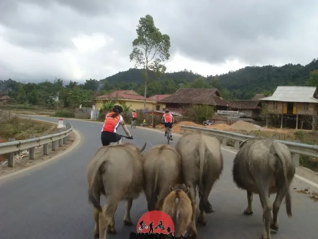 Hanoi Easy Cycle To perfume Pagoda and Kim Boi Hot Spring – 3 days 4