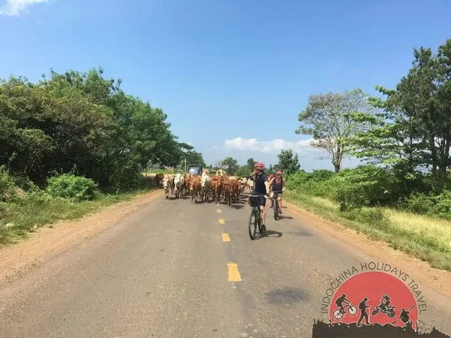 Red River Delta Cycling Tour Exploration – 9 Days 2