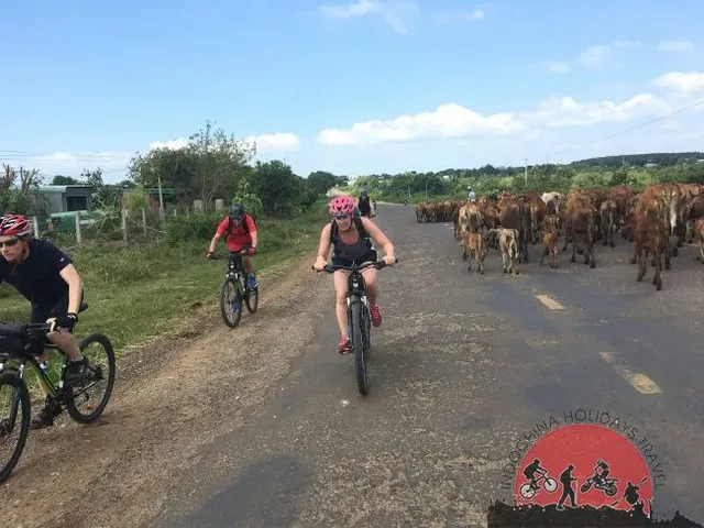 Red River Delta Cycling Tour Exploration – 9 Days 3